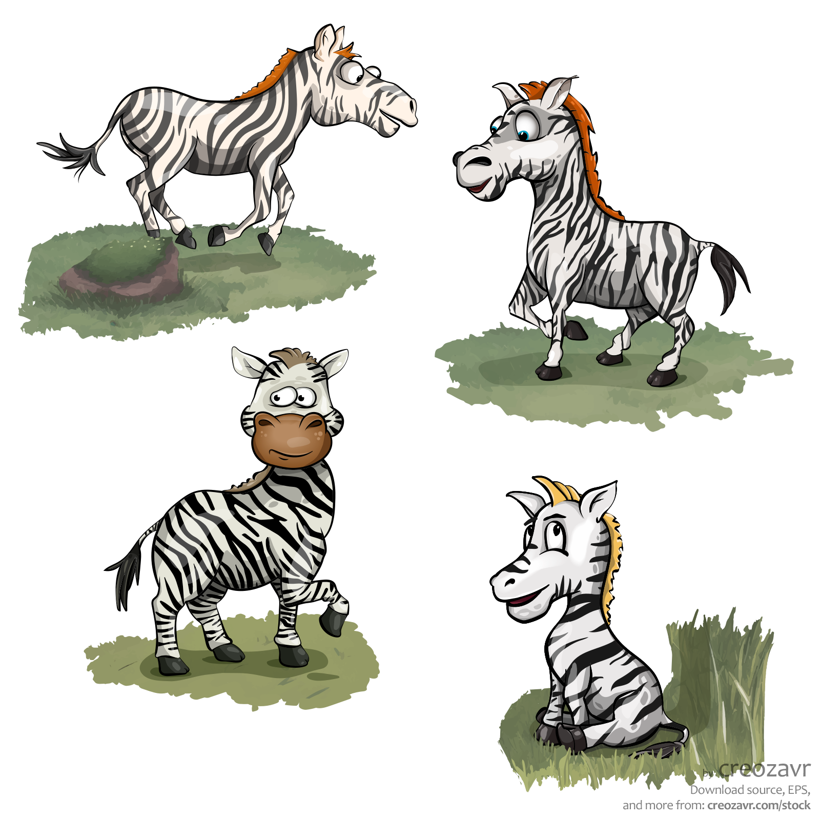 Animal collection: Zebras