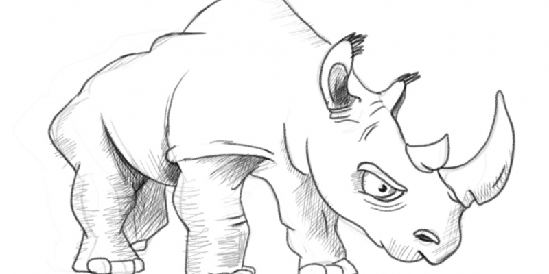 Rhino in draft sketch